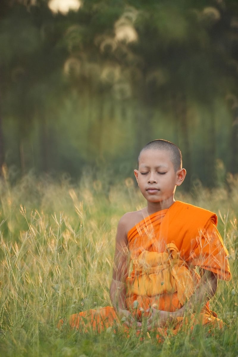 Mindfulness in Tai Chi